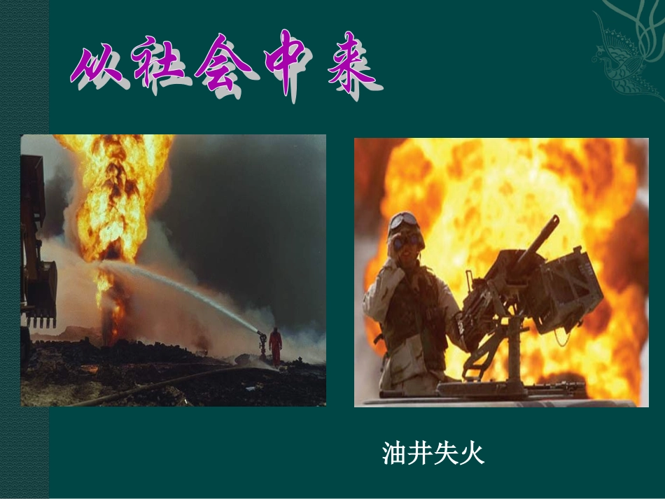 高中生物：-21-生物污染与生物净化(课件)(1)中图版选修2_第3页