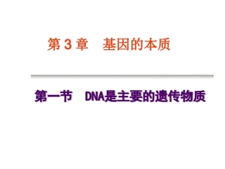 人教版高中生物课件：DNA是主要的遗传物质