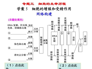 【金牌学案】高考二轮专题复习-第一部分专题三-5细胞的增殖和受精作用课件