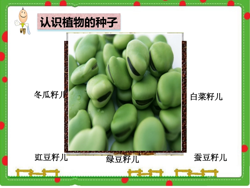 1播撒希望的种子_第2页