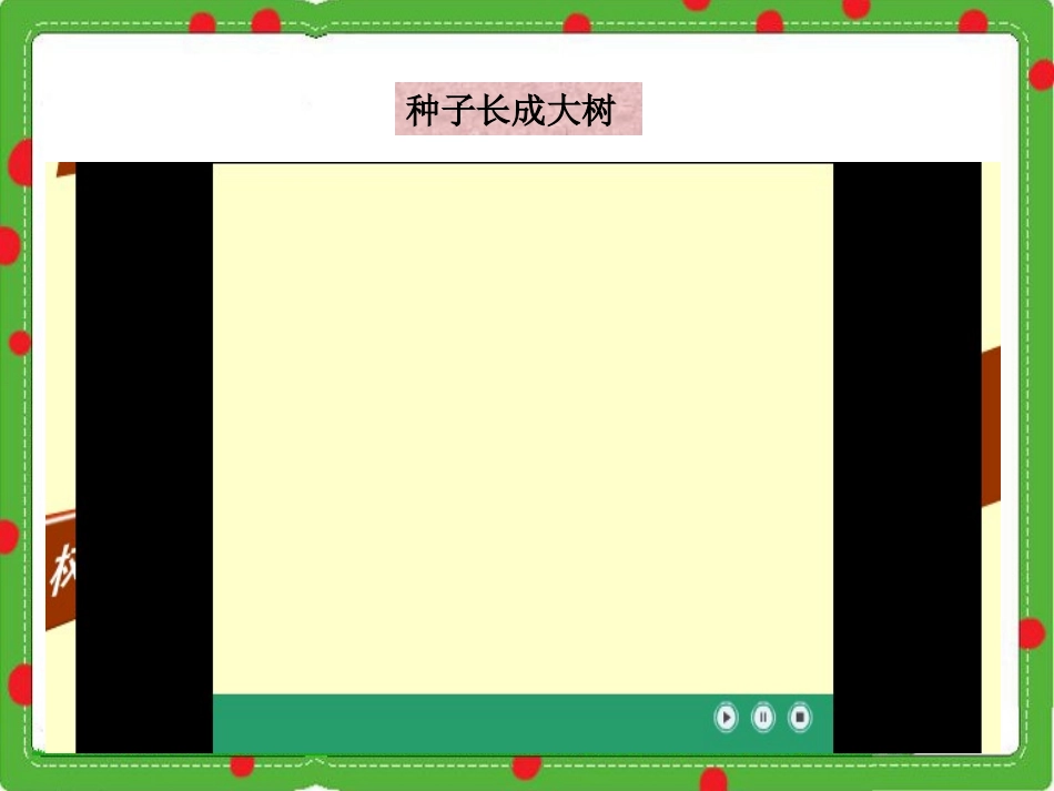 1播撒希望的种子_第3页