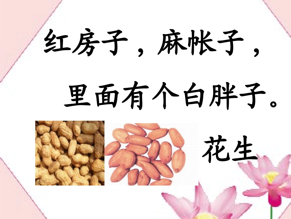《小松鼠找花生果》课件4_第1页