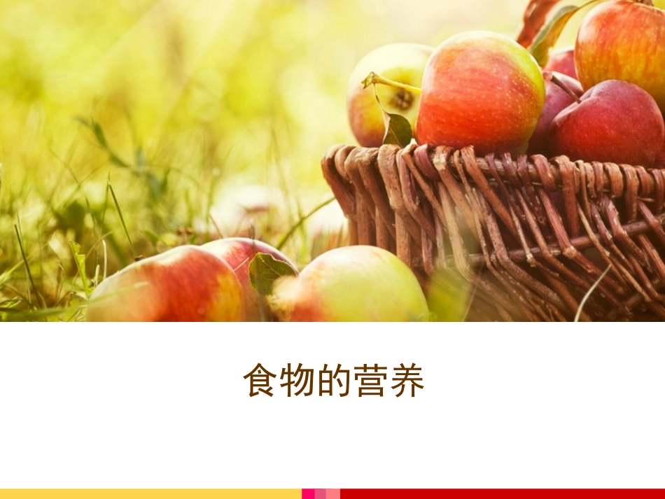 15食物的营养_第2页