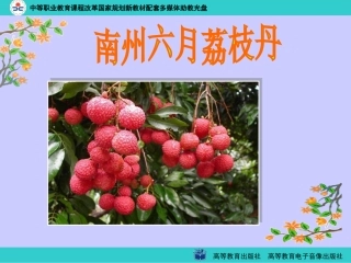 《南州六月荔枝丹》