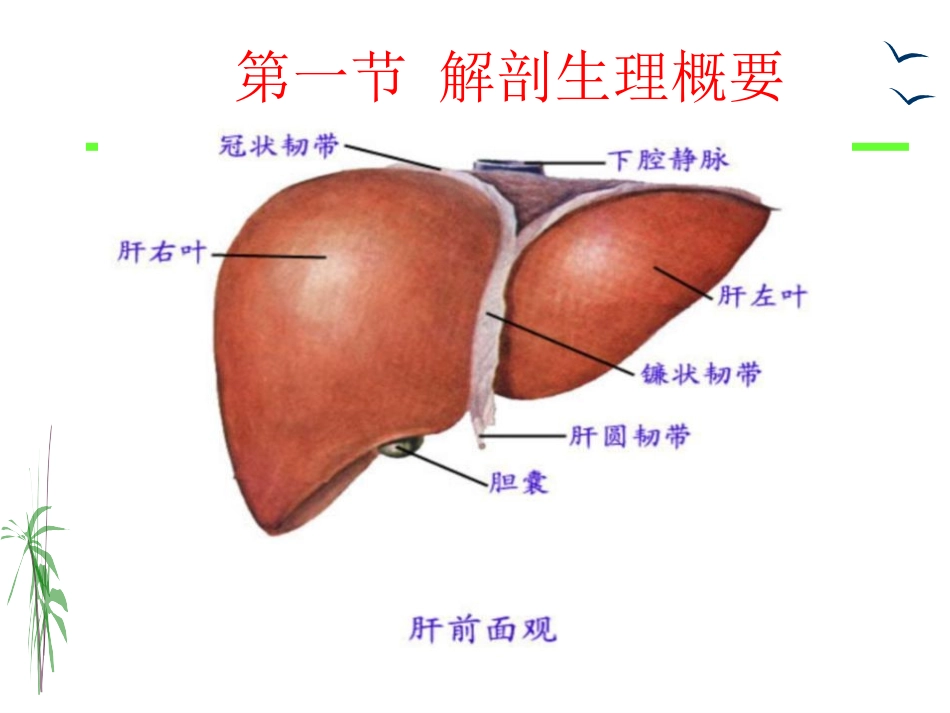 18章-门静脉高压症病人的护理_第2页