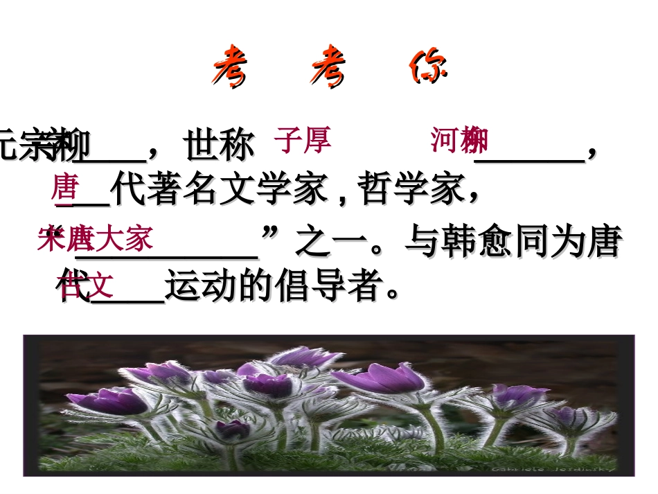十九捕蛇者说_第3页