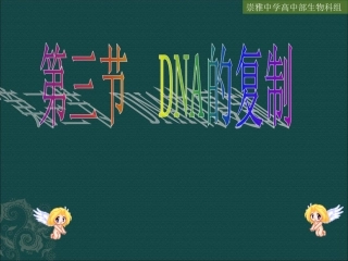 高中生物：DNA的复制课件中图版必修2