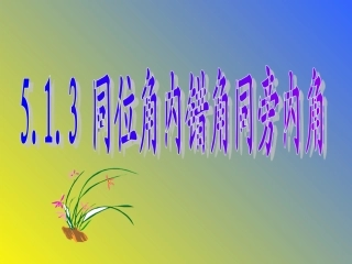 课件.1.3同位角内错角同旁内角