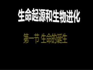 《第一节-生命的诞生》课件3