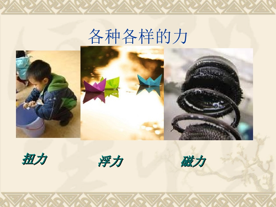 《10-常见的力》课件_第3页