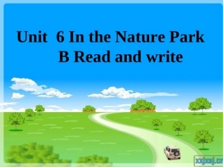 PEP新版五上Unit-6-In-a-Nature-B-Read-and-write