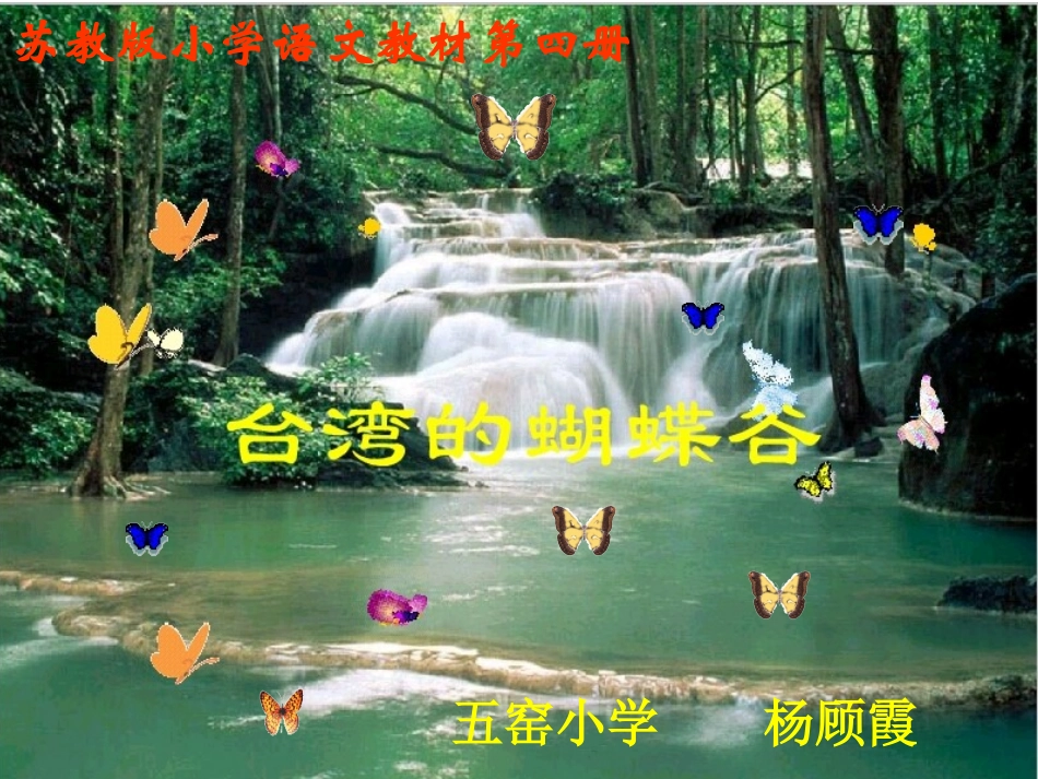 杨顾霞台湾的蝴蝶谷-_第1页