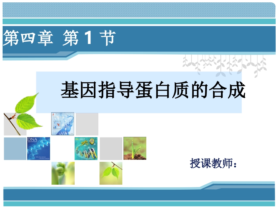 4.1《基因指导蛋白质的合成》-雷群英_第1页