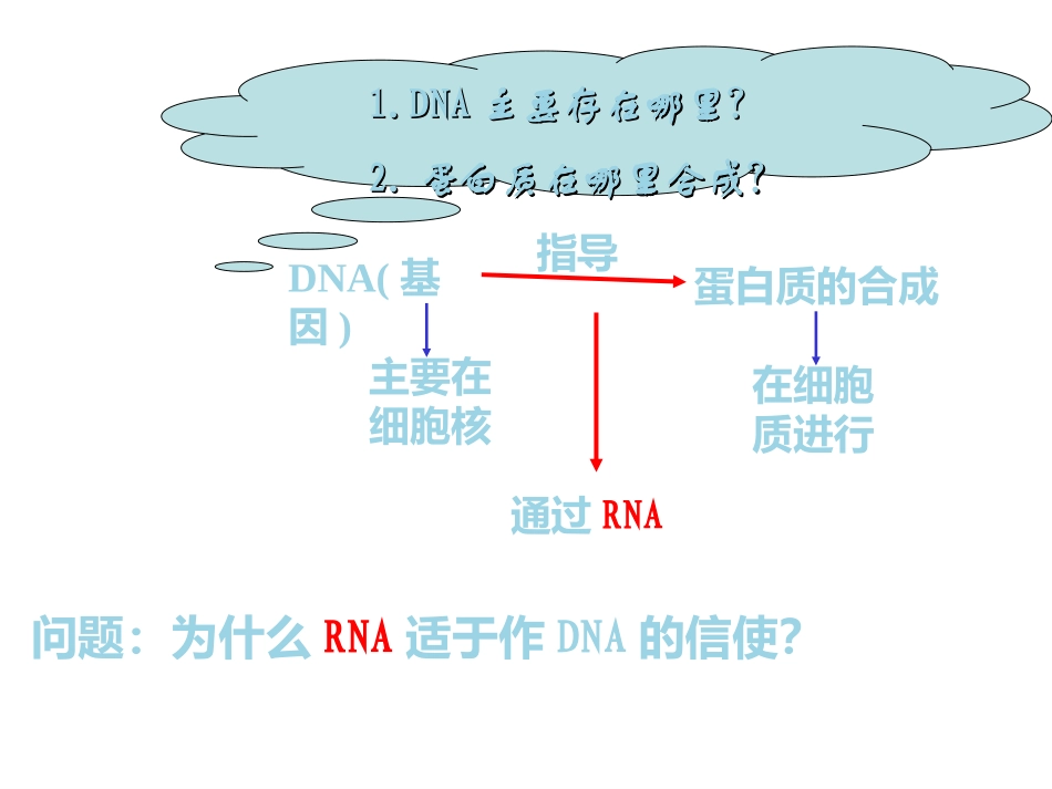 4.1《基因指导蛋白质的合成》-雷群英_第2页
