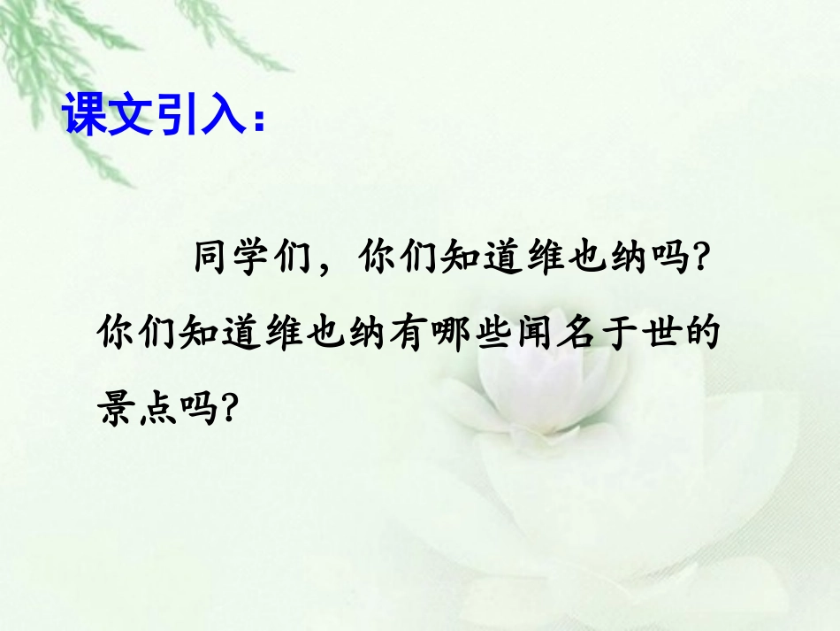 《音乐之城维也纳》课件_第2页