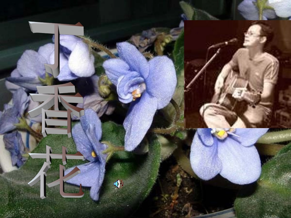 6《中国现代诗二首(二)》--《雨巷》课件111_第1页