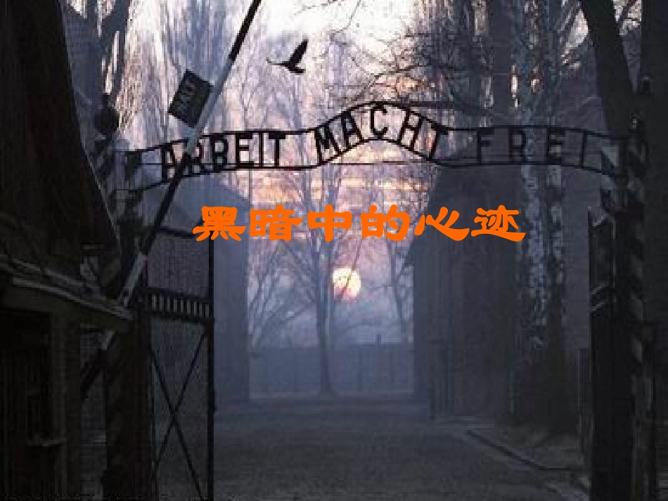 【2012年暑假总动员】高中语文-安妮日记课件_第3页