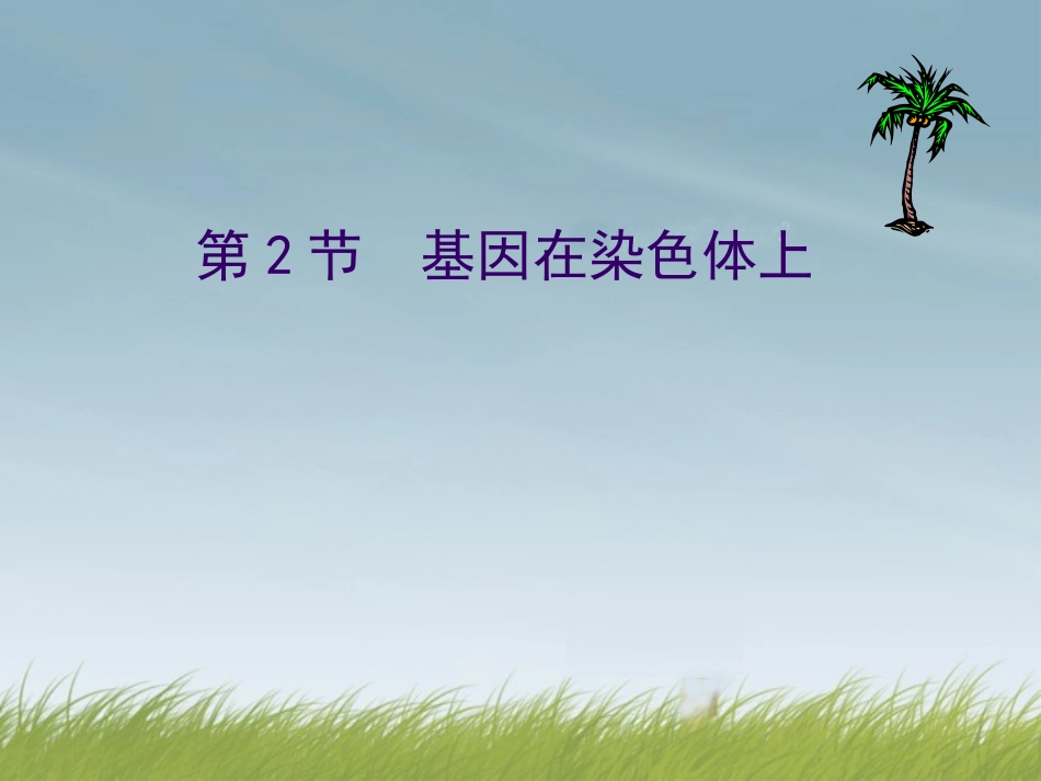 河北省邯郸市临漳县第一中学高中生物《22-基因在染色体上》课件--新人教版必修2_第1页