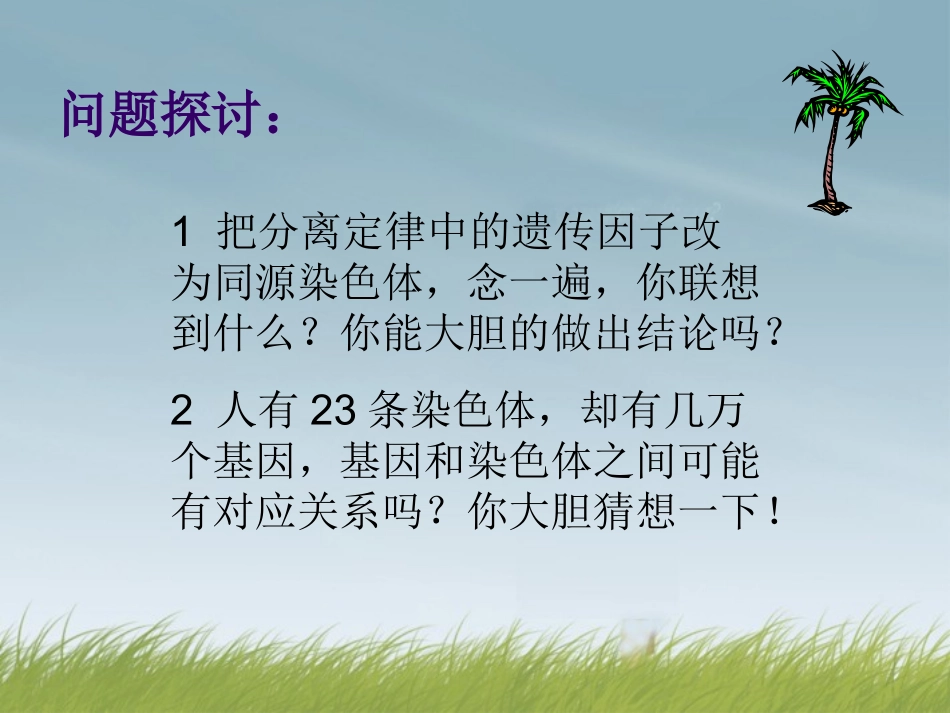 河北省邯郸市临漳县第一中学高中生物《22-基因在染色体上》课件--新人教版必修2_第3页