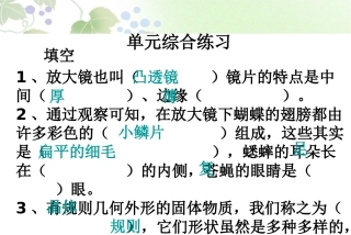 1.9.六年级下册第一单元综合练习