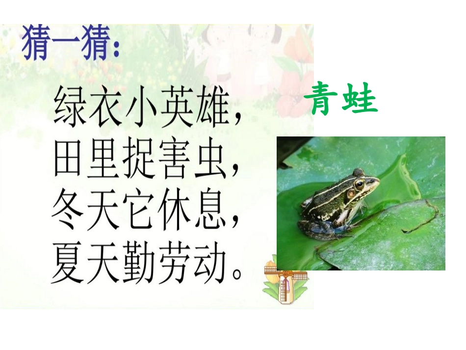 识字3《小青蛙》sunny_第1页