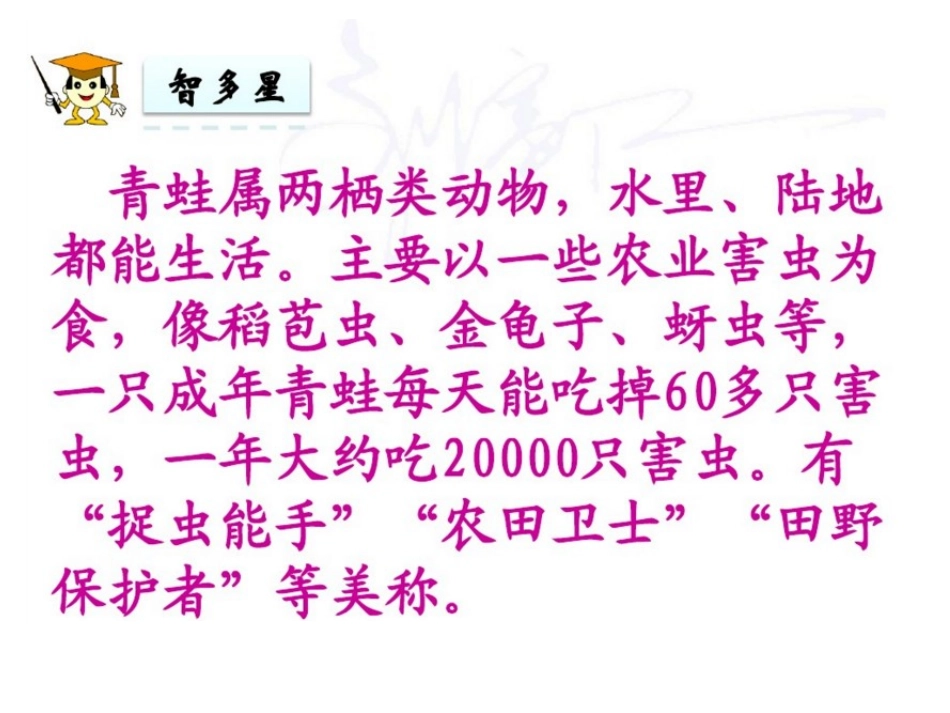 识字3《小青蛙》sunny_第3页