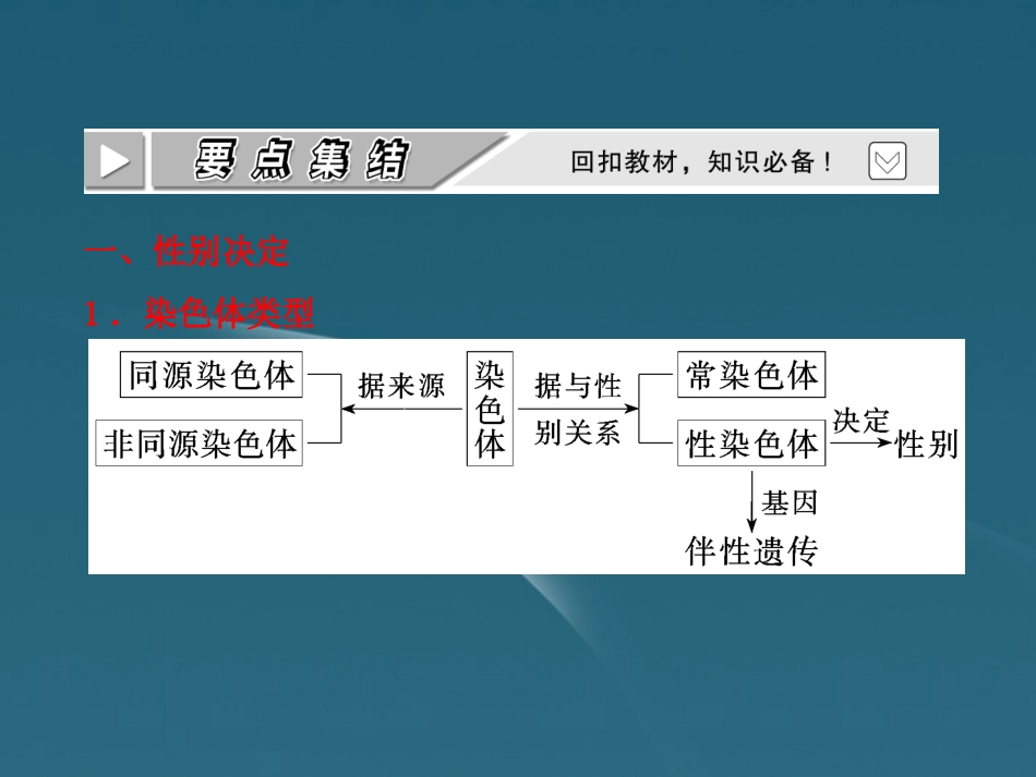 四川省成都市高考生物一轮复习-必修部分-第六章第三节性别决定和伴性遗传课件_第3页