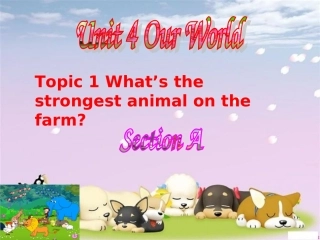 Unit-4-Topic-1-Section-A