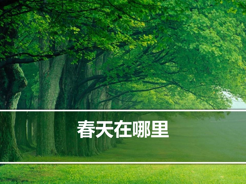 春天在哪里PPT_第1页