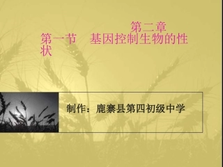 基因控制生物的性状