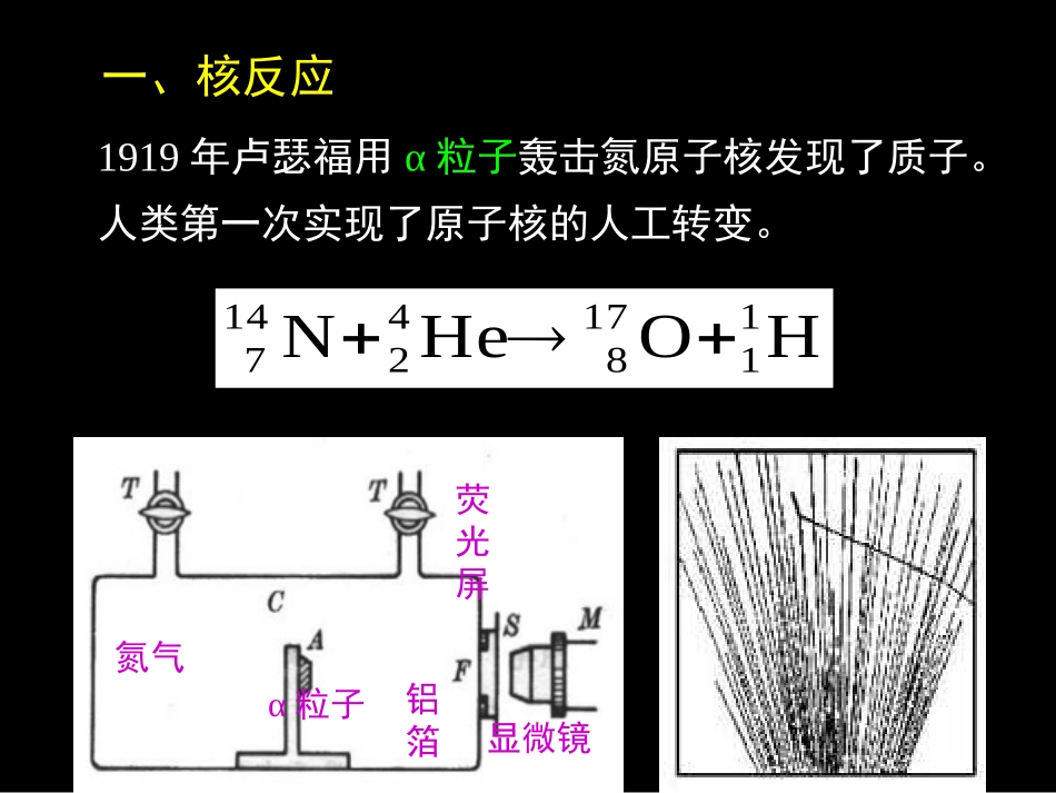4-放射性的应用与防护_第3页