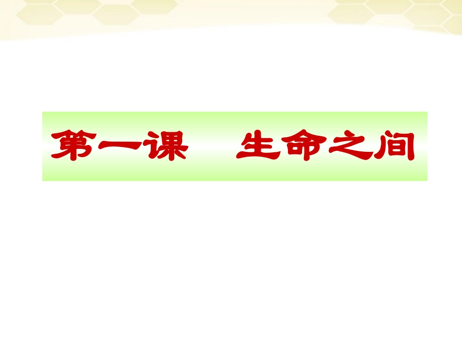 七年级政治上册-第一课《生命之间》课件-人民版_第1页