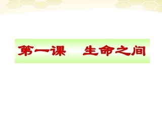 七年级政治上册-第一课《生命之间》课件-人民版