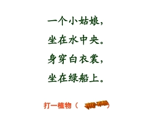 三年级语文下册第一组3.荷花课件