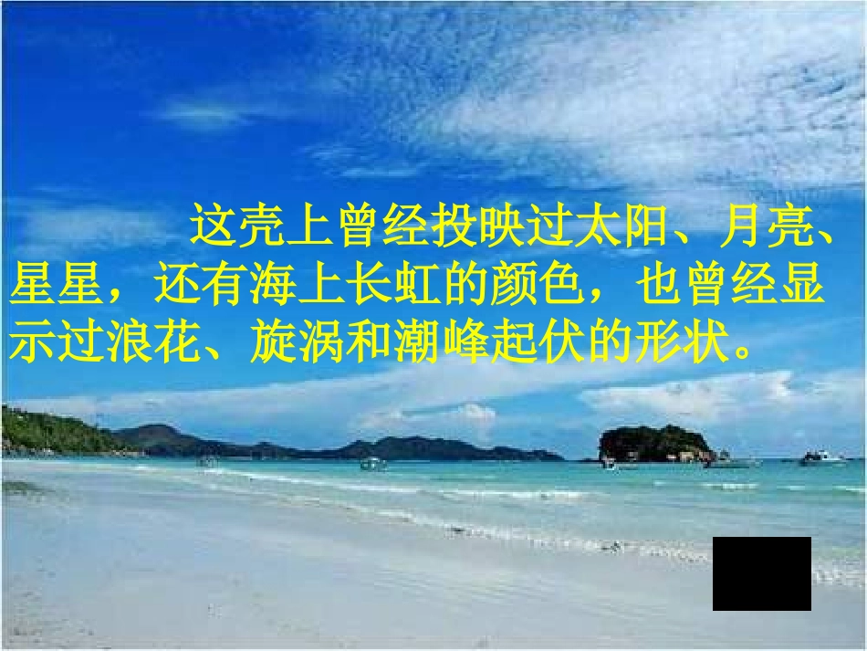 2017-2018四年级语文上册第一单元3一只贝ppt课件(-语文S版)_第2页