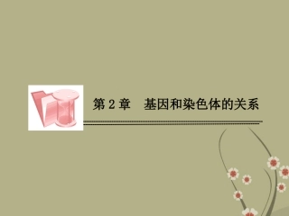 高中生物-2-1-2受精作用课件-新人教版必修2