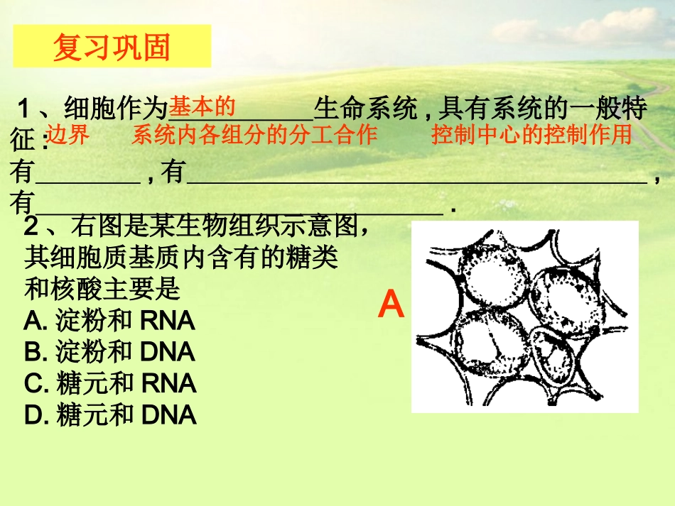 高中生物《第四章-第一节-物质跨膜运输的实例》课件2-新人教版必修1_第1页