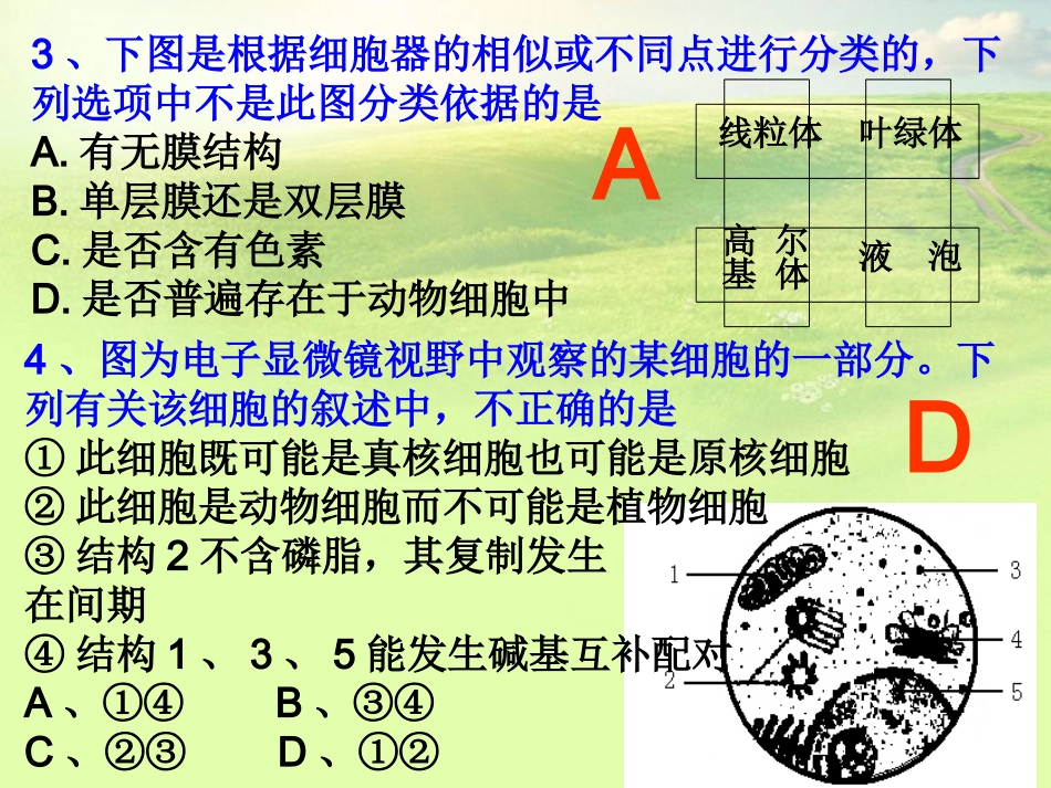 高中生物《第四章-第一节-物质跨膜运输的实例》课件2-新人教版必修1_第2页