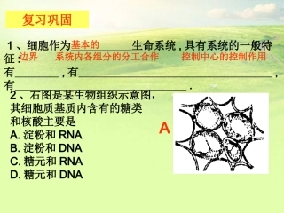 高中生物《第四章-第一节-物质跨膜运输的实例》课件2-新人教版必修1
