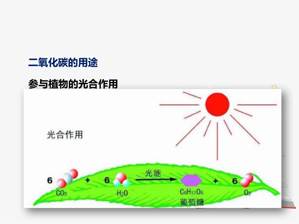 第四节二氧化碳_第3页
