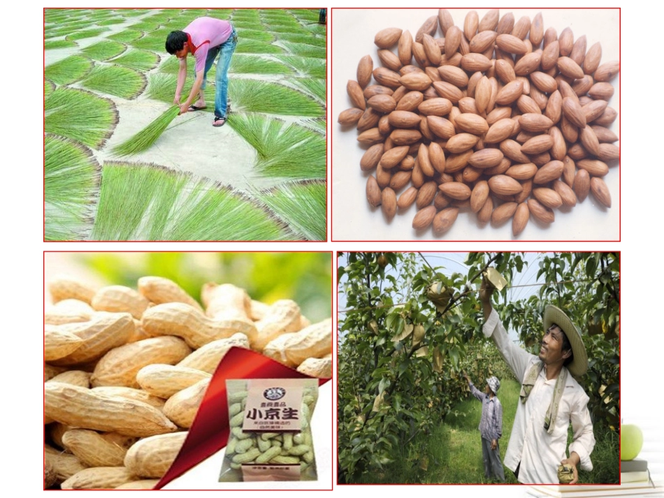 浙江省义乌市高三地理《区域农业的可持续发展—以美国为例》复习课件_第2页