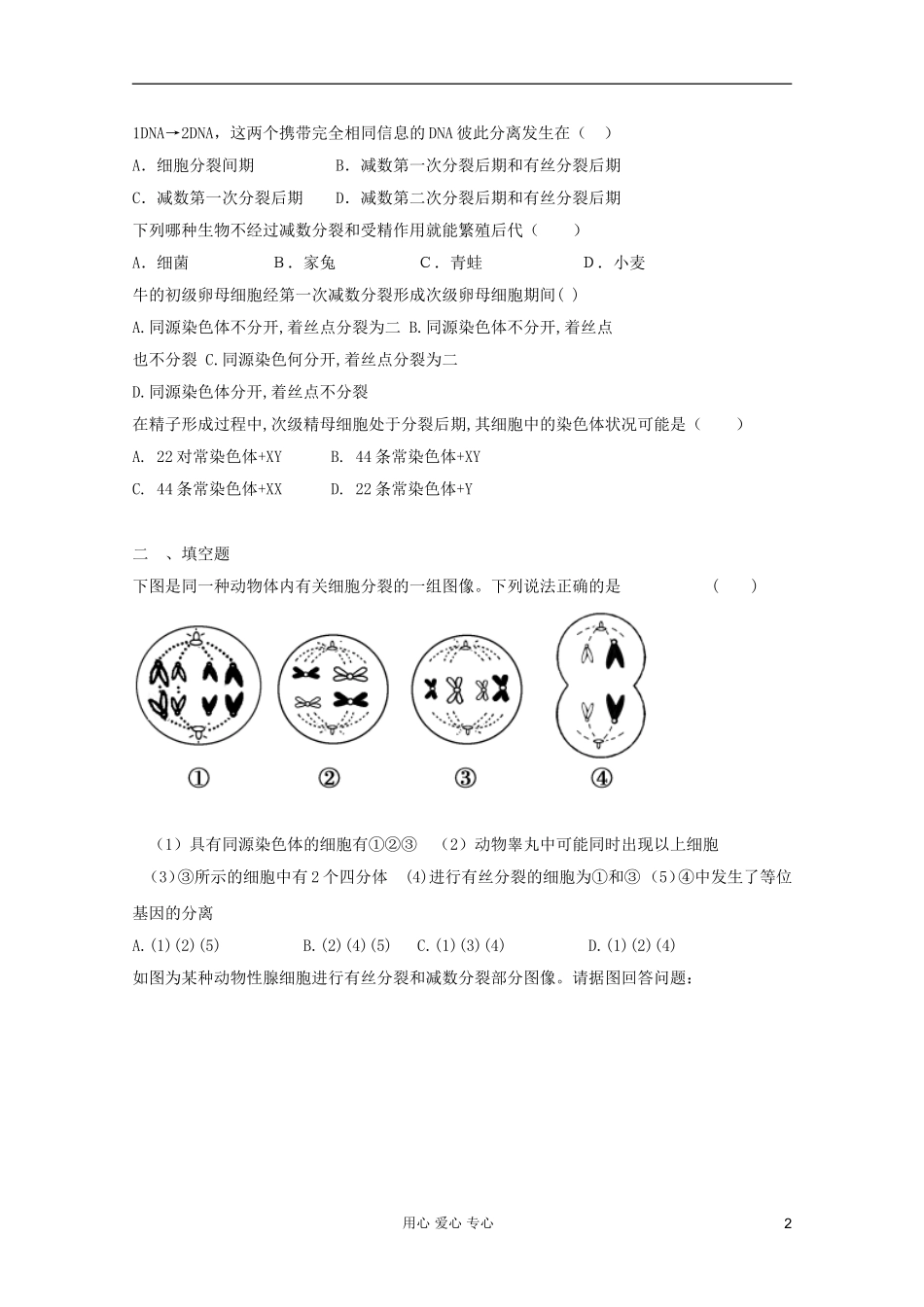 2012届高三生物二轮专题提高训练-遗传的细胞学基础15_第2页