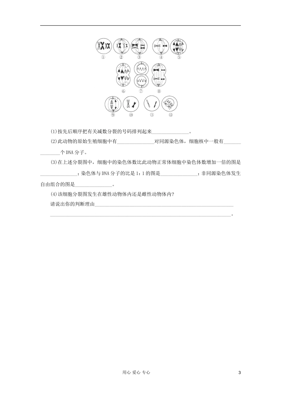 2012届高三生物二轮专题提高训练-遗传的细胞学基础15_第3页