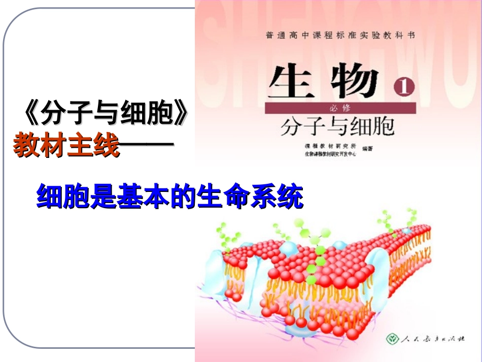 第1讲第一轮复习第一章走近细胞_第3页