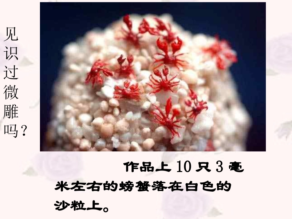 《核舟记》ppt_第1页