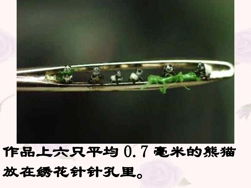 《核舟记》ppt_第2页