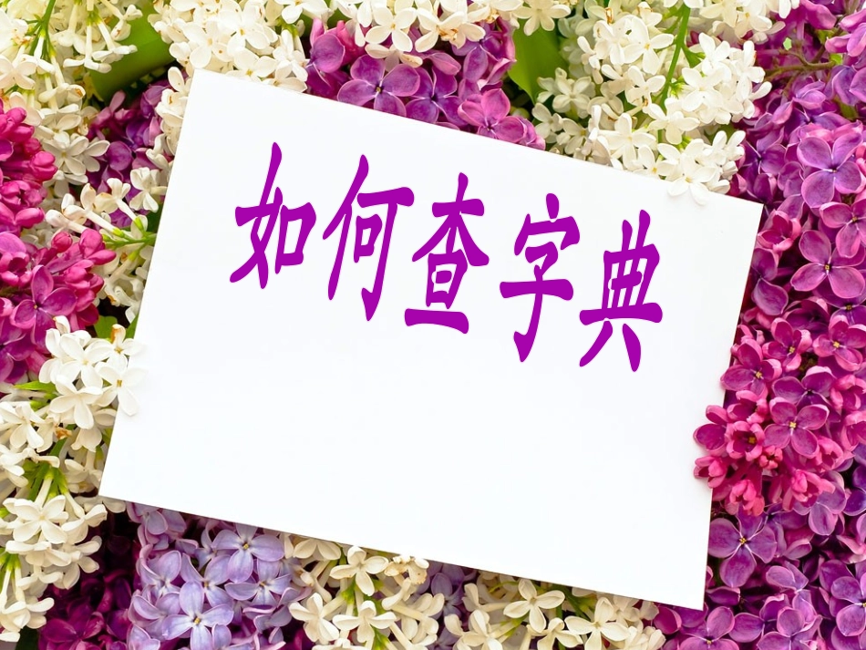 (部编)人教语文2011课标版一年级下册查字典-(14)_第1页