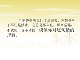 《白杨》例句赏析2