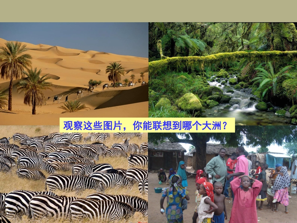 广东省深圳市文汇中学七年级地理下册《6.2-非洲》(第一课时)课件-湘教版_第2页