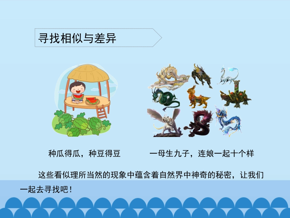 1从种瓜得瓜说起_第3页